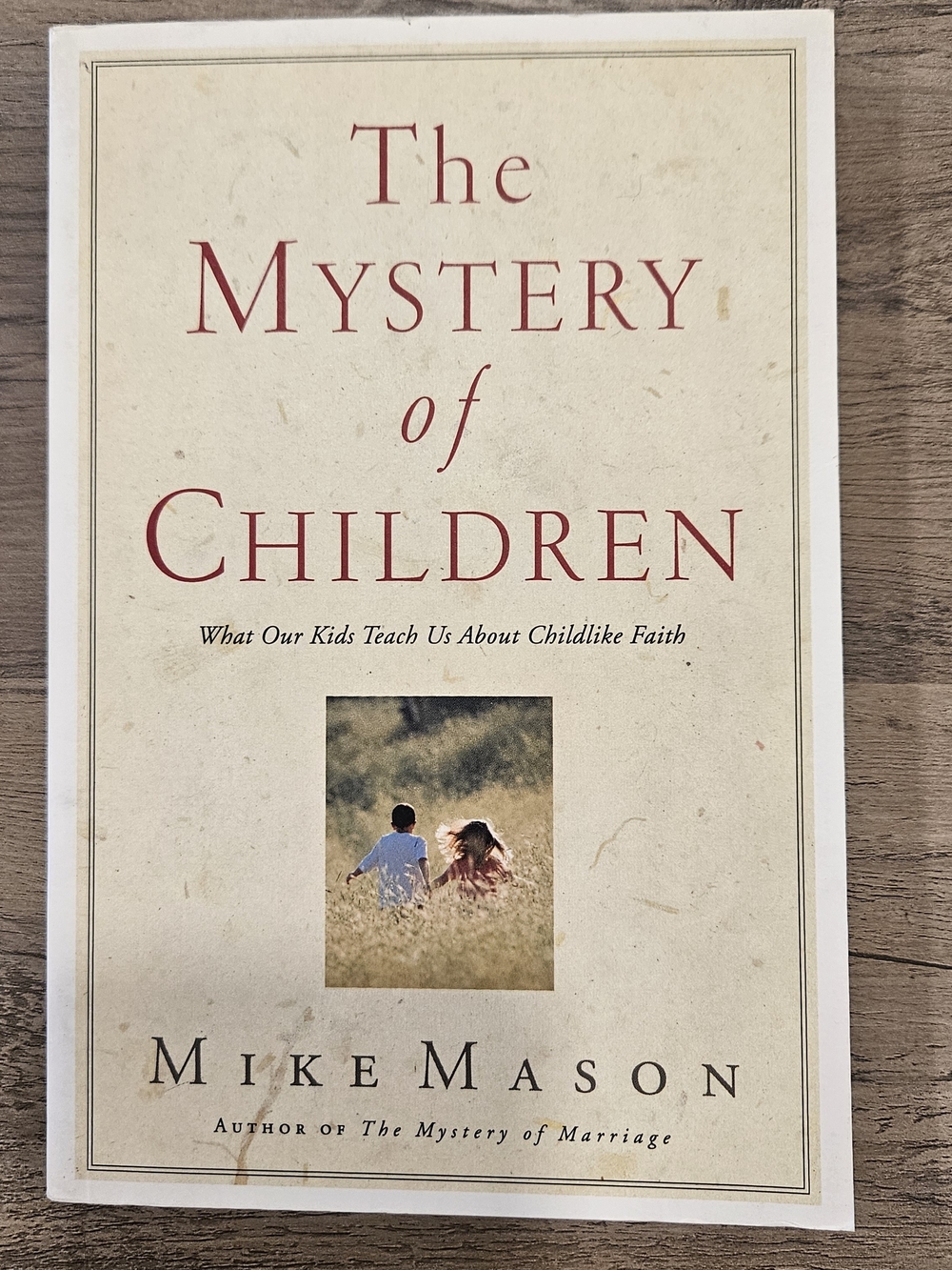 🛍 2/$6 🛍 The Mystery of Children - Mike Mason
